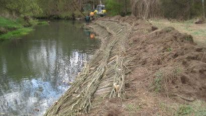 Bild: exb/Wasserwirtschaftsamt Weiden
Die Bündel aus Weidenzweigen werden entlang der Uferböschung in Gräben drapiert und mit Erde bedeckt. Wenn sie wurzeln und austreiben bilden sie unter anderem einen natürlichen Uferschutz.