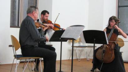 Bild: aks
Klassischer Auftakt mit Schubert und dem Streich-Trio Hubert.