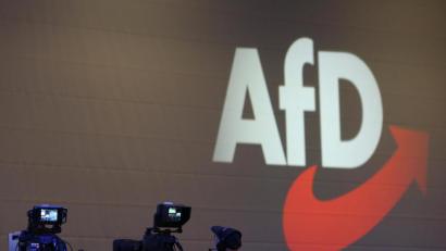 Archivbild: Karl-Josef Hildenbrand/dpa
Die AfD im Blick