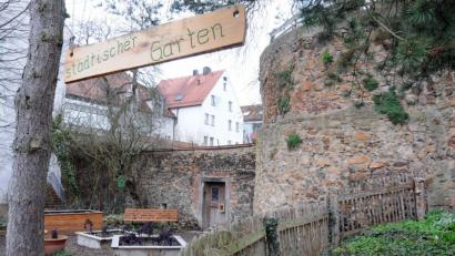 Bild: Stephan Huber
Die Stadt bewirtschaftet diverse Grünflächen. Bestes Beispiel ist der städtische Garten an der Stadtmauer im Max-Reger-Park.
