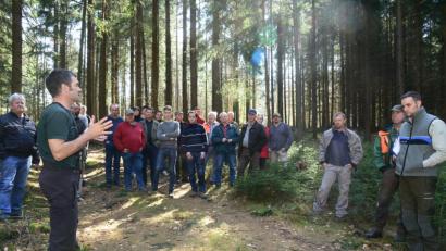 Bild: bey
Forstamtmann Stephan Stangl (im Vordergrund links) und Forstoberinspektor Sebastian Höllerer (rechts) geben im Pleysteiner Stadtwald Empfehlungen und Ratschläge für den Waldumbau.