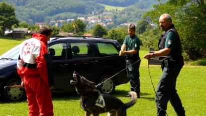 Bild: lev
Um für ihr Einsatzspektrum gerüstet zu sein, müssen die Vierbeiner und Polizeibeamten der Hundestaffel regelmäßig trainieren. Eine solche Übung hat am Dienstag für Aufsehen in Oberviechtach gesorgt. Unser Symbolbild zeigt eine Hundeausbildung beim Zoll.