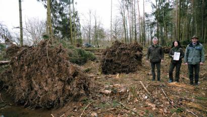 Bild: gf
Revierleiter Christoph Lauerer (rechts) inspiziert mit FBG-Geschäftsführer Uli Hausmann (links) und Forstwirtin Helga Riedl (Zweite von rechts) die Sturmschäden: Die Naturgewalten haben ganze Wurzelstöcke einfach herausgerissen.
