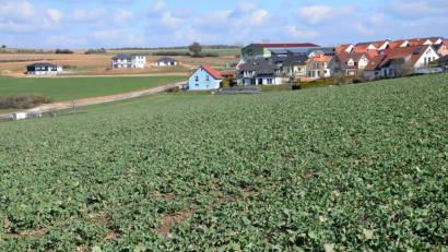 Bild: bö
Wenn abgeerntet ist, beginnen die Bauarbeiten im neuen Wohnbaugebiet Ledererhang. 14 Parzellen sind ab Mitte nächsten Jahres dort bebaubar. Das gegenüberliegende Areal Lauterachtalblick ist bis auf eine Parzelle bereits verkauft, die ersten Häuser stehen schon.
