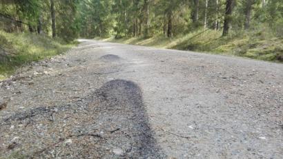Bild: Hladik
Nur an manchen Stellen auf den Waldwegen finden sich diese schwärzlichen Flecken. Dreck oder eine Lebensform?