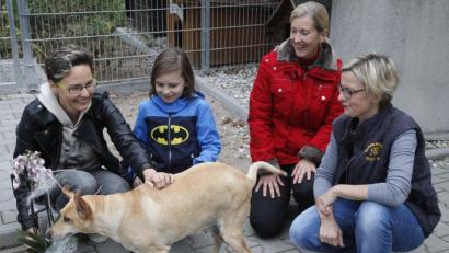 Bild: Hirsch
Gabi Hahn (Zweite von rechts) bleibt Vorsitzende des Tierschutzvereins, der im vergangenen Jahr 81 Hunde vermittelt hat. Rechts Vorstandsmitglied Birgit Hiltl.