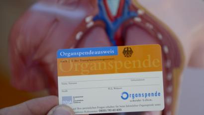 Bild: Daniel Maurer/dpa
Ein Organspendeausweis, aufgenommen beim Tag der Organspende vor dem Modell eines menschlichen Torsos.