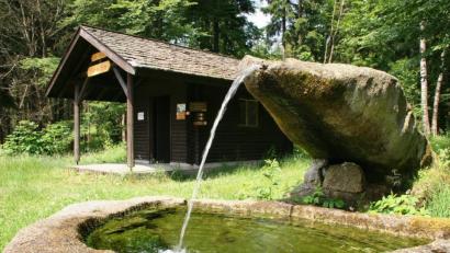 Archivbild: Popp
Der Nurtschweg, hier die Planer Höhe bei Waldkirch, hat noch mehr touristisches Potenzial, sind Fachleute überzeugt.