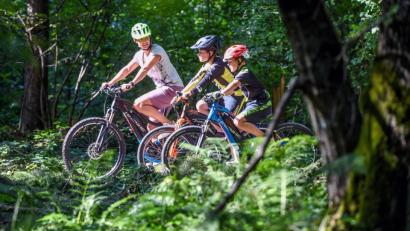 Bild: Source www.pd-f.de / Messe Friedrichshafen
Die Oberpfalz bietet mit ihrem Netz an Radwegen für jeden Fahrradfahrer etwas. Besonders Familien können fernab vom Straßenverkehr an Flüssen oder auf ehemaligen Bahntrassen entspannt radeln.