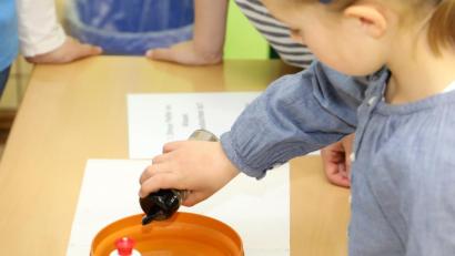 Bild: njn
Gemeinsam experimentierten die Schul- und Vorschulkinder mit Wasser.