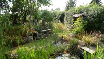 Bild: Daniel Jakumeit
Vielfältige Elemente schaffen ein reiches Nahrungsangebot für Insekten und Vögel den ganzen Sommer über.