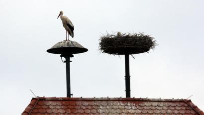 Archivbild: Gerhard Götz
Der Storch in Klardorf kann am Donnerstag beruhigt sitzen bleiben. Die Sirene im Schwandorfer Ortsteil bleibt am Donnerstag still.