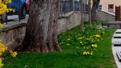 Bild: le
Die Flosser Marktplatzanlage blüht zurzeit auf.