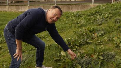 Bild: arw
Dritter Bürgermeister Heribert Schubert wundert sich über die vielen Disteln.