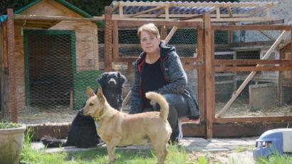 Bild: Gabi Schönberger
Claudia Biersack und ihre beiden Hunde vor dem leeren Gehege: Von den zehn früheren Bewohnern - kleinen Hasen - fehlt jede Spur.
