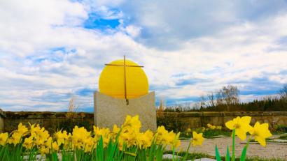 Bild: bsc
Für eine besondere Stimmung und Atmosphäre im Friedhof sorgen die erblühenden Narzissen.