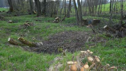Bild: bey
Die Freie Wählergemeinschaft Pleystein will das Mähen von öffentlichen Grünflächen reduzieren. Im schriftlich vorgelegten Antrag wurde das Beseitigen von Büschen und Sträuchern, wie hier in der Nähe des TSV-Sportplatzes, aber nicht angesprochen.