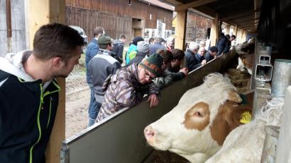 Bild: exb/Gerhard Schwarz
Lehrfahrtsteilnehmer begutachten das Futterband auf dem Betrieb Popp in Unterölschnitz.