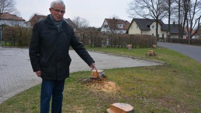 Bild: jr
Der frühere Gemeinderat Wolfgang Stamm kritisiert das Fällen von sieben Birken beim Pechbrunner Friedhof und fordert eine Neuanpflanzung.