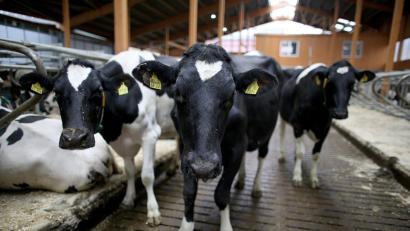 Symbolbild: Oliver Berg/dpa
Symbolbild