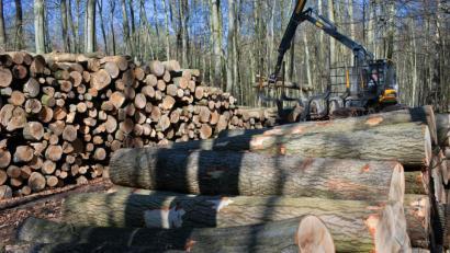 Symbolbild: Jens Büttner/dpa
Symbolbild