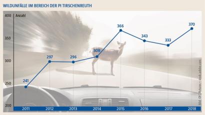 Bild: Oberpfalz-Medien
2018 kam es zu 370 Wildunfällen im Bereich der PI Tirschenreuth.