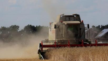 Bild: Gerhard Götz
Getreideernte bei Schwarzenfeld.