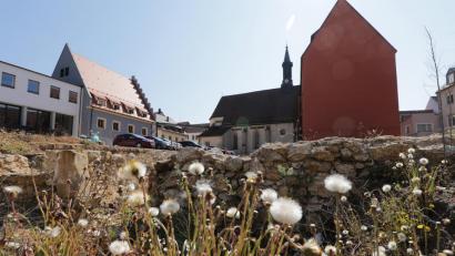 Bild: Wolfgang Steinbacher
Derzeit ist das Bürgerspitalgelände eher ein Paradies für Insekten. Das wird wohl noch eine Weile so bleiben. Denn bei Ten Brinke laufen noch immer die Planungen für das Bauprojekt an dieser Stelle.