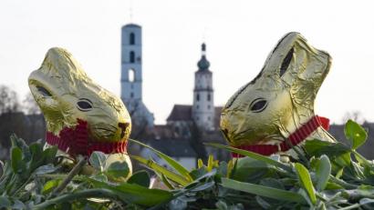 Bild: Petra Hartl
Zwei Schokoladen-Häschen sitzen im Gras und warten darauf, dass sie gefunden werden. Kleine Nesterln, gefüllt mit Süßem, suchen auch in Sulzbach-Rosenberg die Kinder für ihr Leben gerne. Doch in anderen Ländern gibt es andere Bräuche.