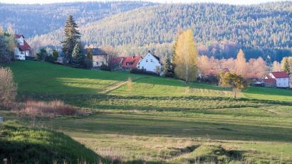 Bild: bsc
Die Gemeinde Friedenfels möchte am Blaslberg (vor der Häuserreihe) Bauland schaffen.