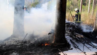 Bild: jma
Die Feuerwehr bekämpft Glutnester am Waldrand.