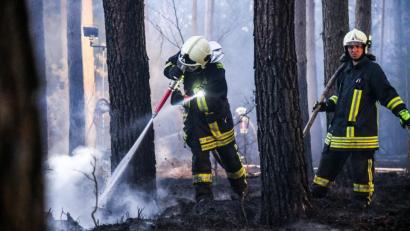 Bild: Julian Stähle
Feuerwehrleute löschen einen Waldbrand bei Oranienburg. In einem Waldstück im nördlichen Brandenburg war in der Nacht zu Ostermontag ein großes Feuer ausgebrochen.