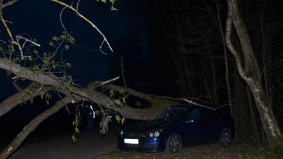 Bild: dob
Ein starker Eschenbaum krachte auf dem Parkplatz bei der Zufahrt zum Schützenhaus Roggenstein während einer Theaterauffühung auf parkende Fahrzeuge. Zwei Fahrzeuge bleiben mit Totalschaden zurück.