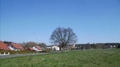 Bild: bjp
Die Planung für die Erschließung des künftigen Baugebiets "Kirschbaumacker" war Thema im Trabitzer Gemeinderat.