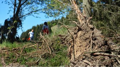 Bild: spw
Wald und Äcker sind staubtrocken. Daher appelliert die Feuerwehr, dass auch Spaziergänger achtsam unterwegs sind. Vor allem dürfen keine Glasflaschen oder Scherben zurückgelassen werden.