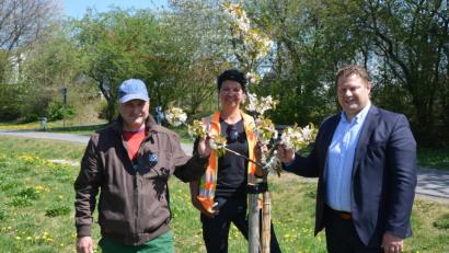 Bild: jr
Stadtgärtner Willi Kilian, Brigitte Bassek und Zweiter Bürgermeister Stefan Grillmeier (von links) freuen sich über die Blütenpracht an vielen Stellen in der Stadt, etwa am Rad- und Fußweg beim „Fit- & Fun-Park“.