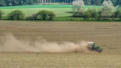 Bild: sds
Wälder und Felder, wie hier bei Waldeck, sind momentan extrem trocken.