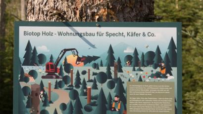 Bild: tr
Der Text rechts unten auf dem Schild informiert über die Forstwirschaft und den Naturschutz im Wald.