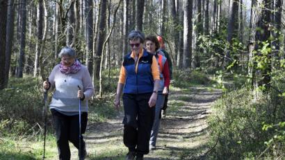 Bild: Petra Hartl
In Penkhof (Kümmersbrucker) gibt es ein neues Programm "Bewegungstreff" mit Übungsleiterin Irene Hirsch: Sie nutzt den Wald als Turnhalle.