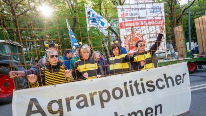 Bild: Peter Kneffel/dpa
Vier als Bienen verkleidete Milchbäuerinnen vor der bayerischen Staatskanzlei.