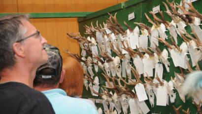 Bild: ge
Ganze Wände voller Rehwild-Trophäen legten die Jäger aus 78 Revieren zur Bewertung vor.