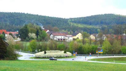 Bild: fjo
Üppig blüht die Bepflanzung im Kreisverkehr bei Lohma und prägt dort die Landschaft derzeit maßgeblich.