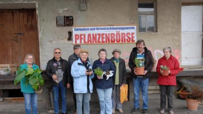 Bild: pop
Eine wahre Fundgrube für Schnäppchenjäger: Die Pflanzenbörse des Gartenbauvereins.