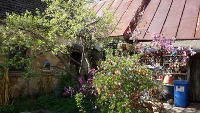 Bild: fjo
Bunt und farbenfroh schimmern die vielen handbemalten Ostereier zwischen dem frischen Grün und den Blüten eines Magnolienstrauchs.