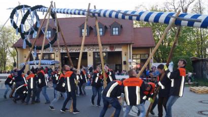 Bild: du
Mit vereinten Kräften bringen die Feuerwehrleute den Maibaum in die Senkrechte.