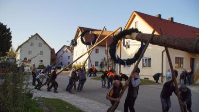 Bild: mmj
In Weiding stemmten sich die Helfer bereits am Vorabend des 1. Mai in die "Schwalben", um den Maibaum in die Senkrechte zu bringen.