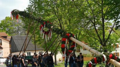 Bild: lnz
Ganz traditionell mit Holzschwalben und Muskelkraft hievten Mitglieder der Feuerwehr Pleußen den mit rot-weißen Kränzen geschmückten Maibaum in die Höhe.