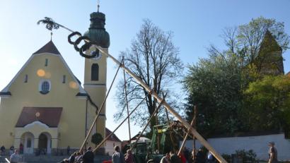 Bild: dob
Alle Männer des Dorfes rücken zusammen und bringen den 25 Meter hohen Maibaum in der Dorfmitte mit Schwalben und Muskelkraft in die Senkrechte. Die Glocken der Benefiziumskirchen St. Johannes Nepomuk verkündeten die getane Arbeit. Auch die Waldauer Burg grüßt.