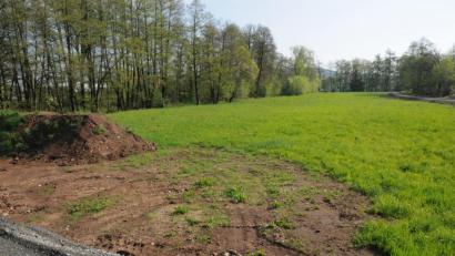 Bild: bey
Entlang der Bäume muss der Markt Luhe-Wildenau einen Hochwasserretentionsraum anlegen. Daran angrenzend soll eine "Blühwiese" angelegt werden, die sich räumlich bis zum Fußweg (rechts im Bild) zum Baugebiet "Breiter Rain" erstreckt.