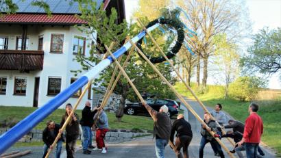 Bild: stg
Mit Muskelkraft hoben die Kuchenreuther ihren Maibaum nach oben.